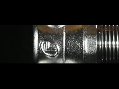 Pas de fuite mâle x mâle 1/2 