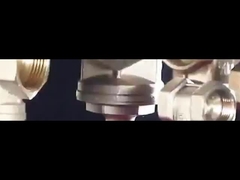 La prise en fonte de la vanne de la porte en laiton de 1/2'4'