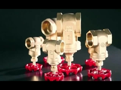 Manche en fonte Femme X Femme 4 pouces soupape de porte en laiton